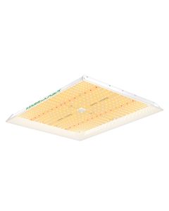 Mars Hydro TSW 2000 Full Spectrum 300W Dimming LED Grow Light for 4x4 Tent High-Density Planting