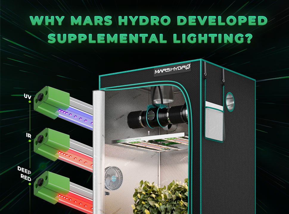 Why Mars Hydro Developed Supplemental Lighting