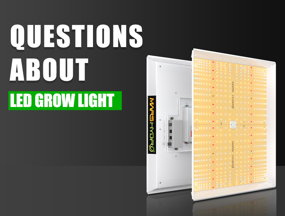 20 questions about led grow lights you need to know