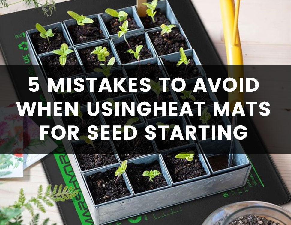 5 Mistakes To Avoid When Using Heat Mats For Seed Starting