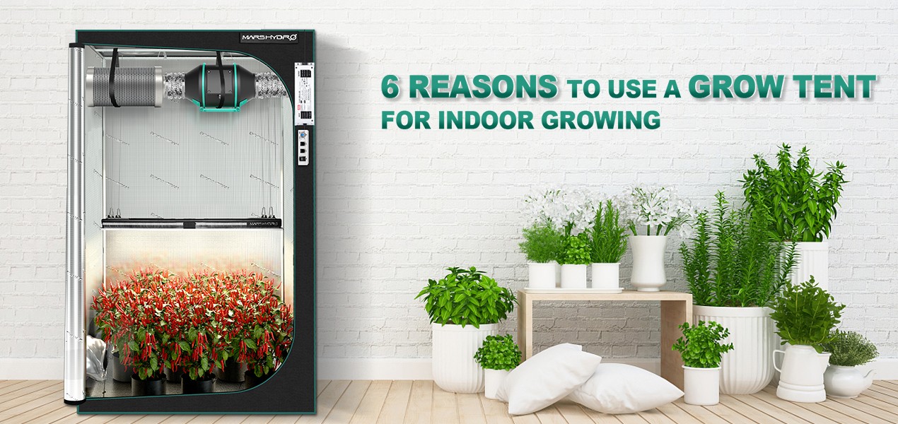 6 Reasons to Use a Grow Tent for Indoor Growing Mars Hydro
