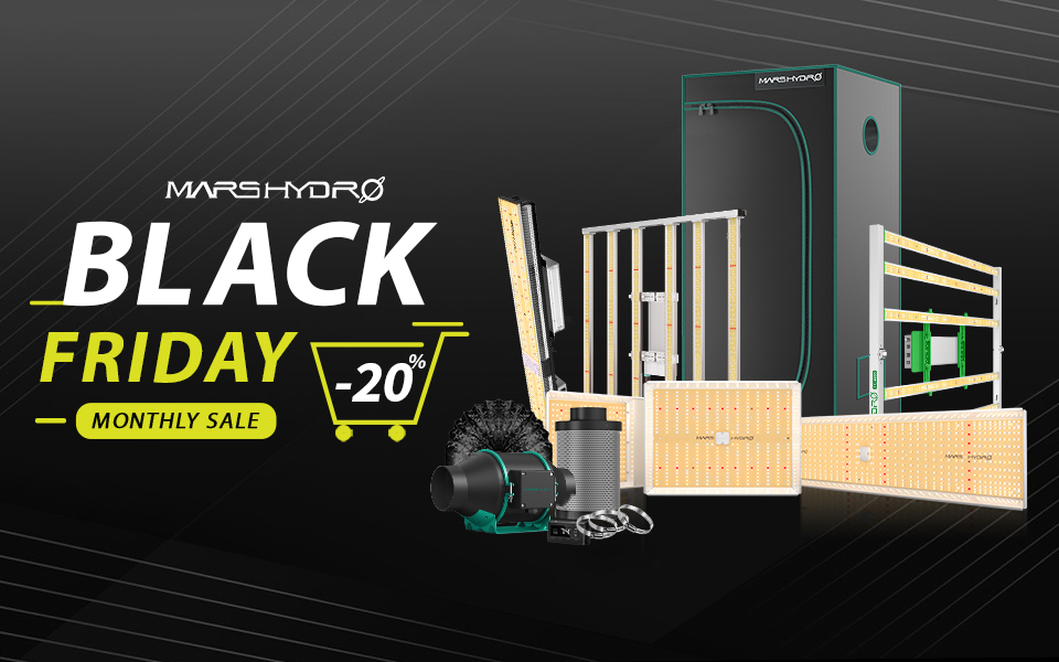 Tactics and Calculation - BLACK FRIDAY up to 60% OFF!!! 