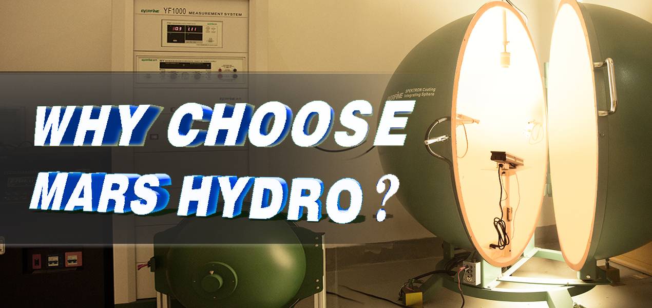 LED Grow Light Manufacturer Overview and Comparison — Why Choose Mars Hydro 