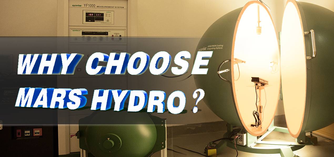 LED Grow Light Manufacturer Overview and Comparison — Why Choose Mars Hydro