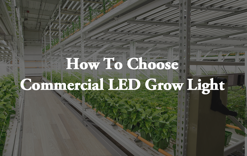 How to choose commercial led grow lights