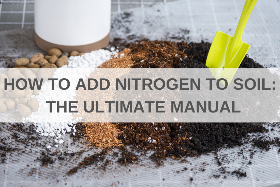 How to Add Nitrogen to Soil: The Ultimate Manual