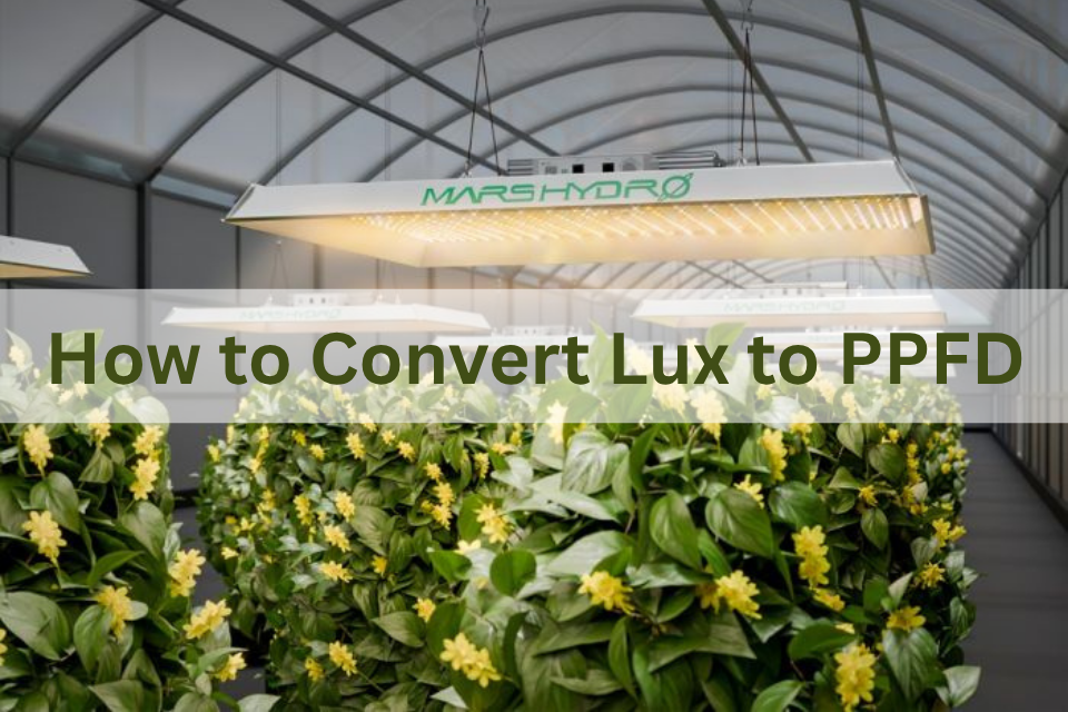 How to Convert Lux to PPFD