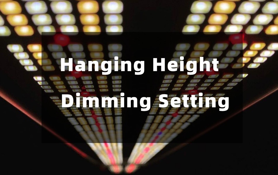 The hanging heights and dimmer settings of led grow lights at different stages