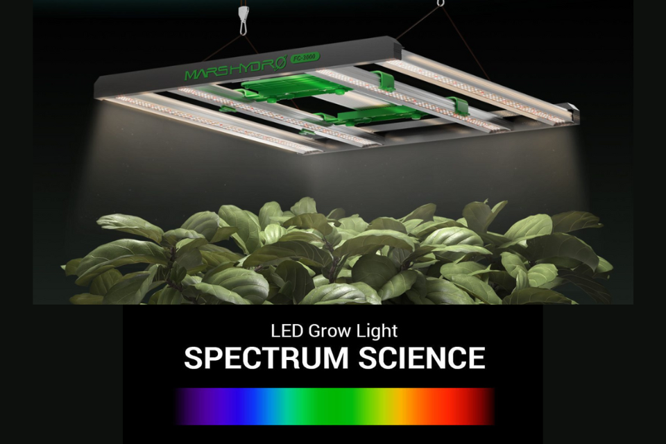 LED Grow Light Spectrum Science