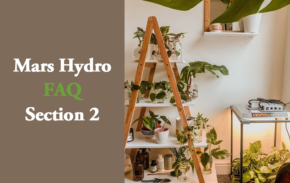 Mars Hydro FAQ Section 2