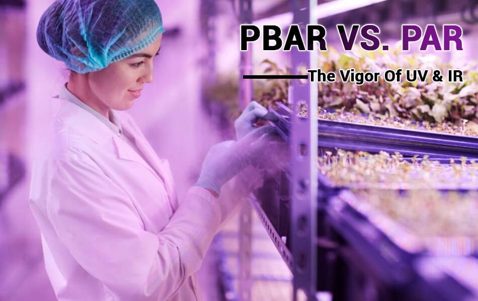 PBAR VS. PAR - the vigor of IR light and UV light for plants