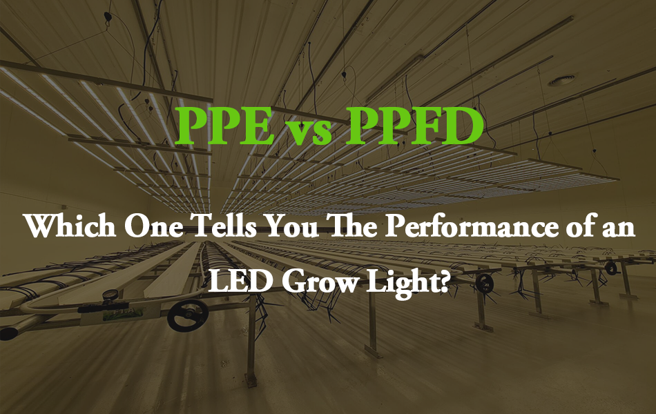PPE vs. PPFD Which One Tells You The Performance of an LED Grow Light