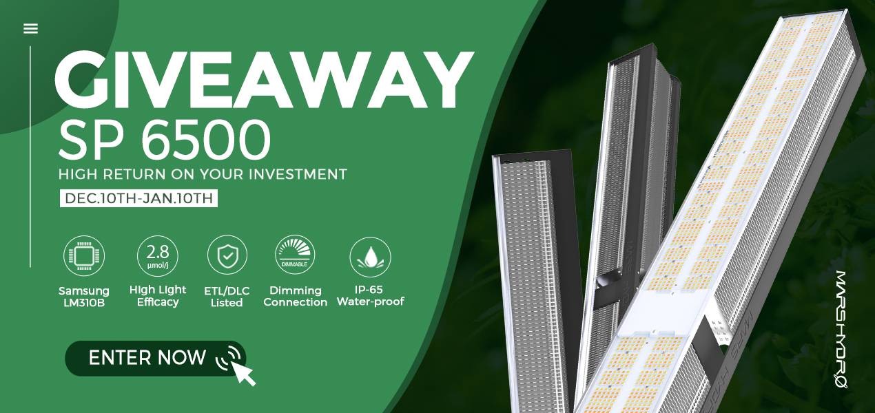Mars Hydro best commercially-viable greenhouse led grow light -SP6500 LED grow light released
