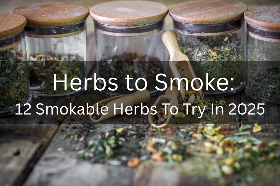 Herbs to Smoke: 12 Smokable Herbs To Try In 2025