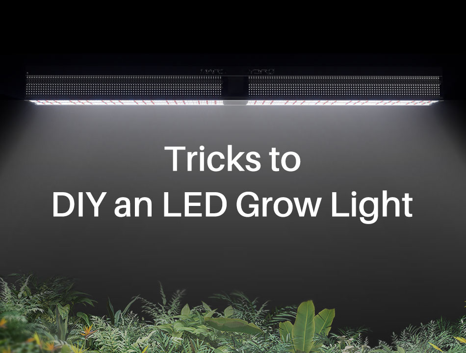 Tricks to DIY LED grow lights on your own