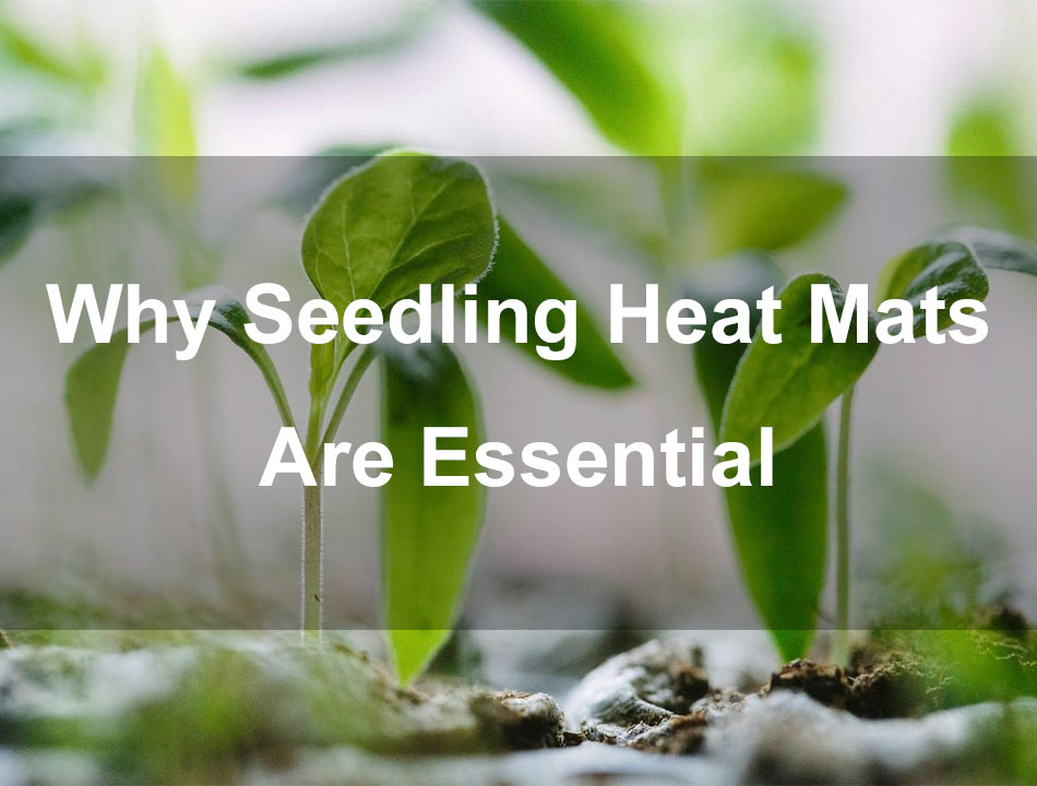 Why Seedling Heat Mats Are Essential (And How Grow Tents & LED Lights Supercharge Your Success)