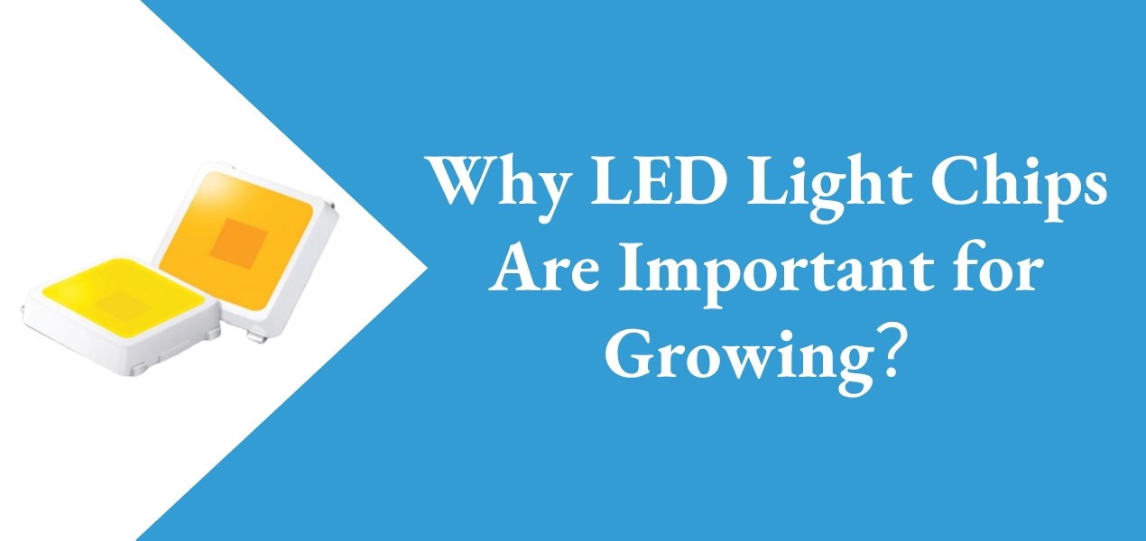 Why LED Light Chips Are Important for Growing Mars Hydro