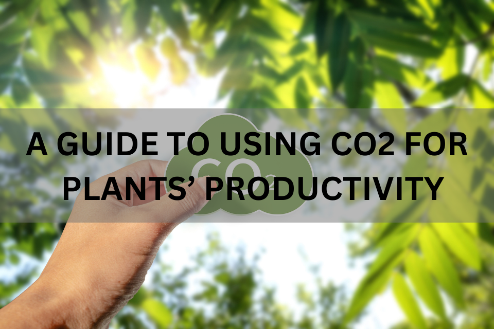 A Guide to Using CO2 for Plants' Productivity