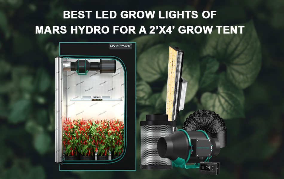 Best LED Grow Lights of Mars Hydro for a 2x4’ Grow Tent.