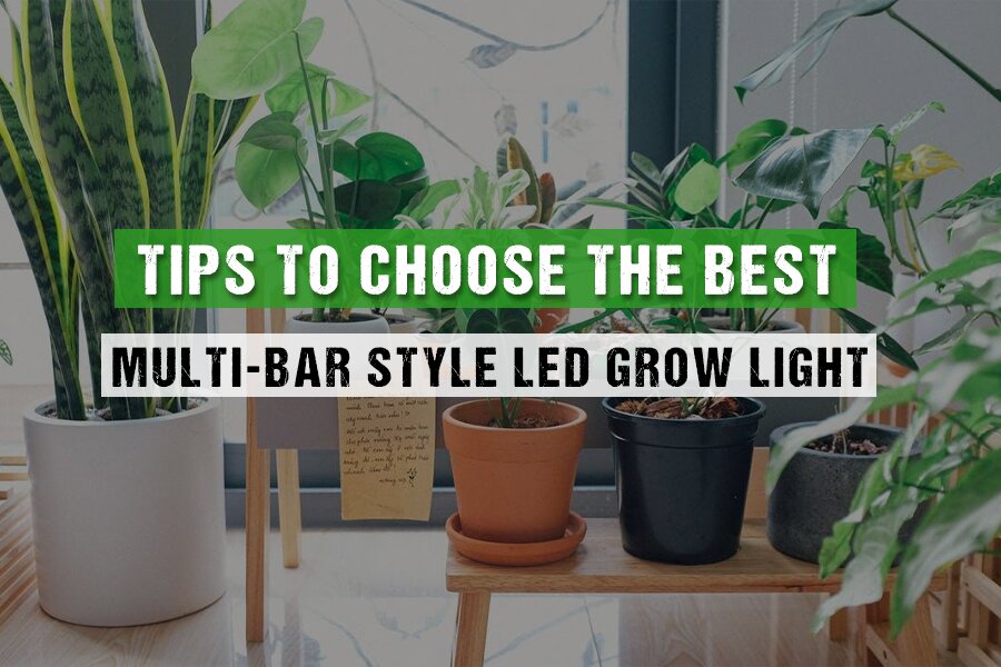 Tips for Choosing Grow Lights