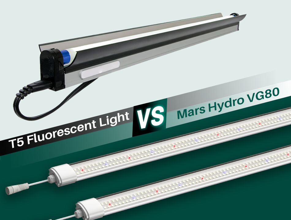T5 Fluorescent Light VS. VG80 LED Grow Light: Which Is Better for Your Indoor Plants?