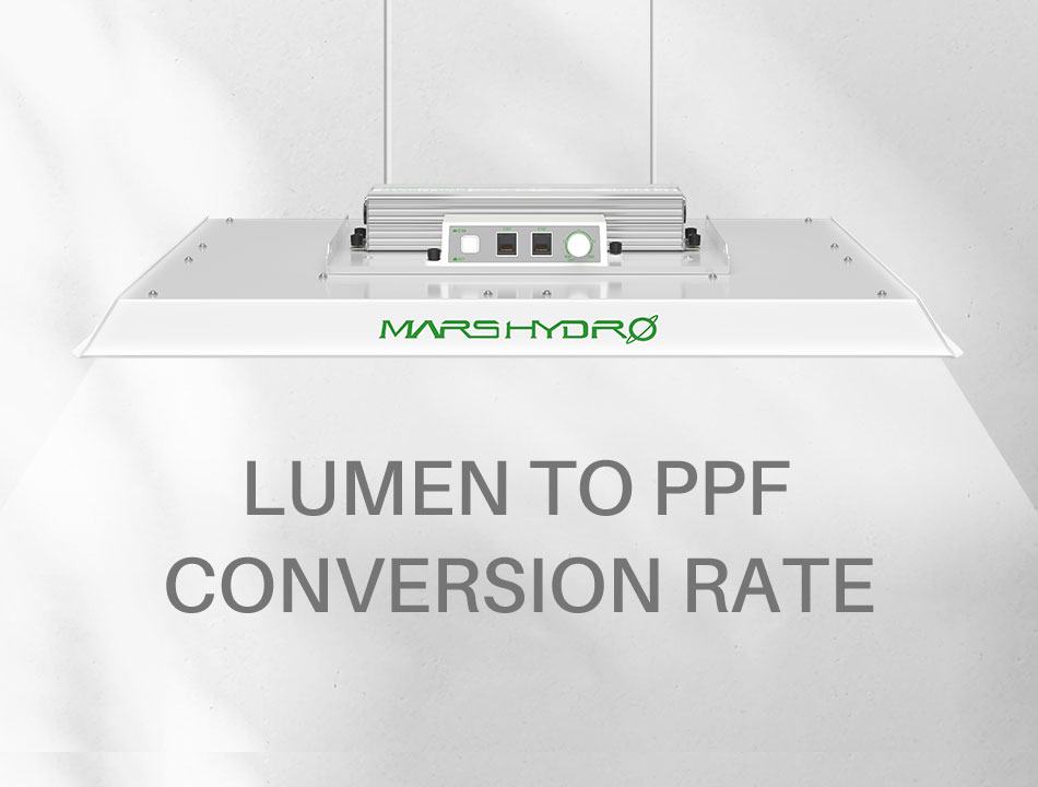 Lumen to PPF Conversion Rate