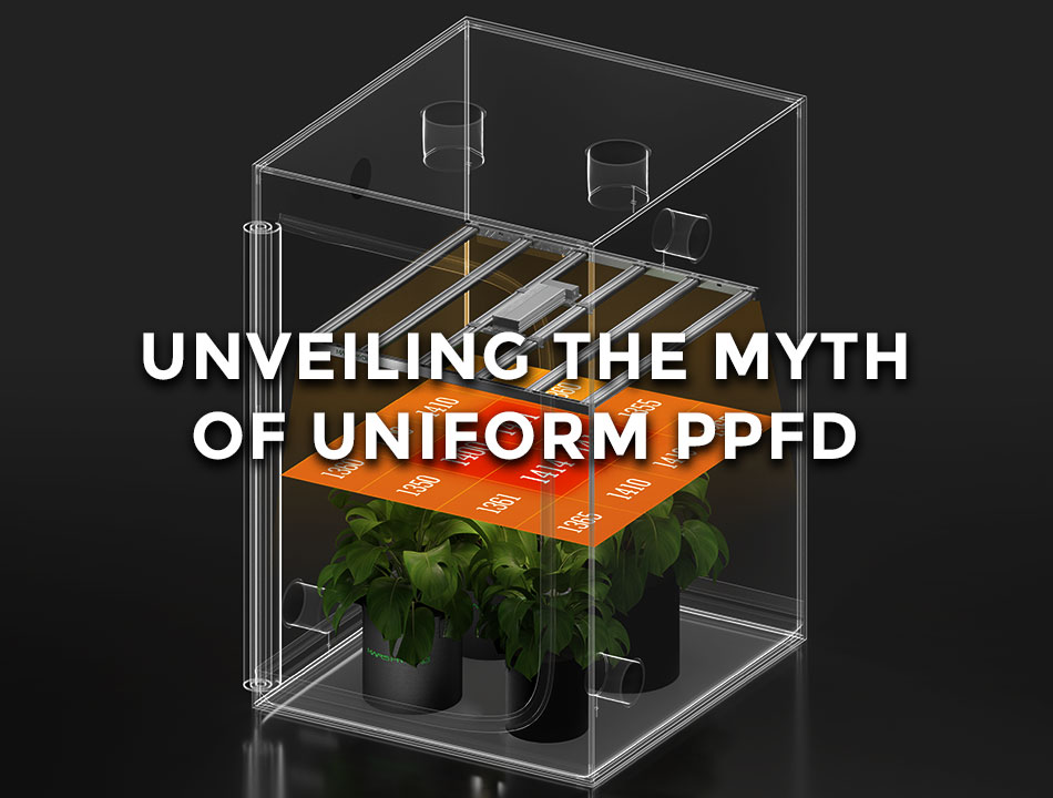 Unveiling the Myth of Uniform PPFD