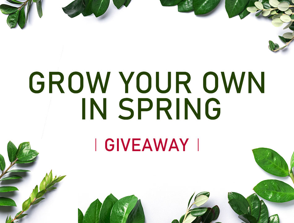 grow your own in spring and giveaway