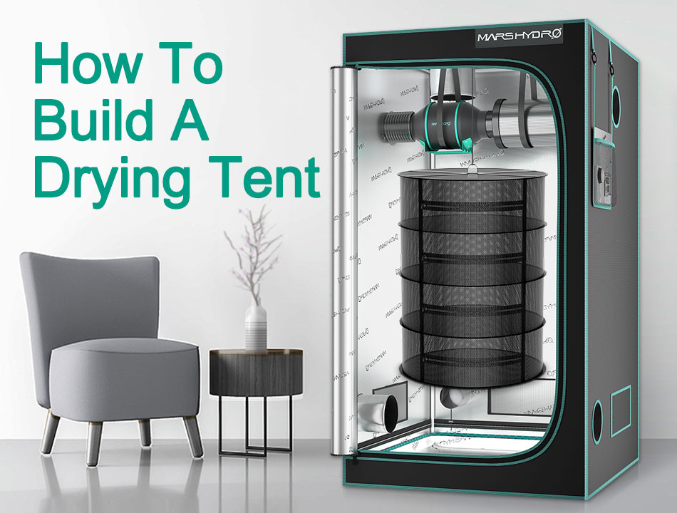 A hanging drying rack inside a mars hydro grow tent with words "how to build a drying tent"