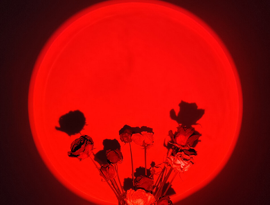 flowers in the red light