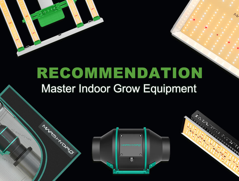 The master's indoor grow equipment recommendation