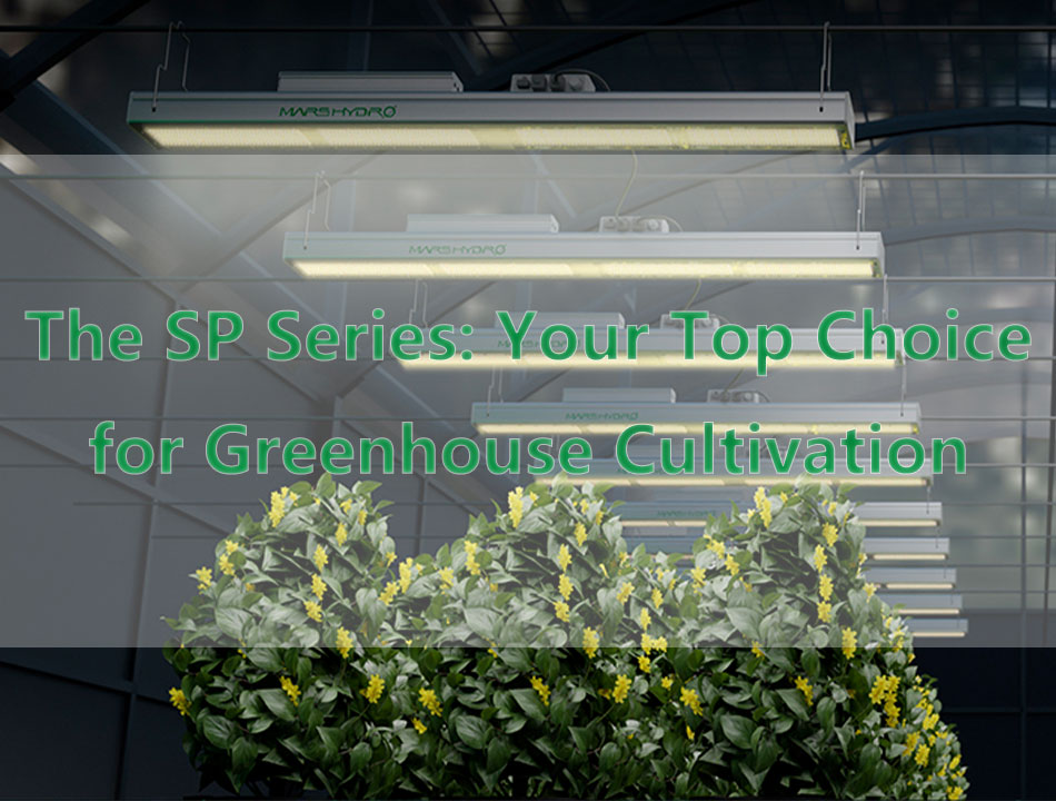 The SP Series: Your Top Choice for Greenhouse Cultivation