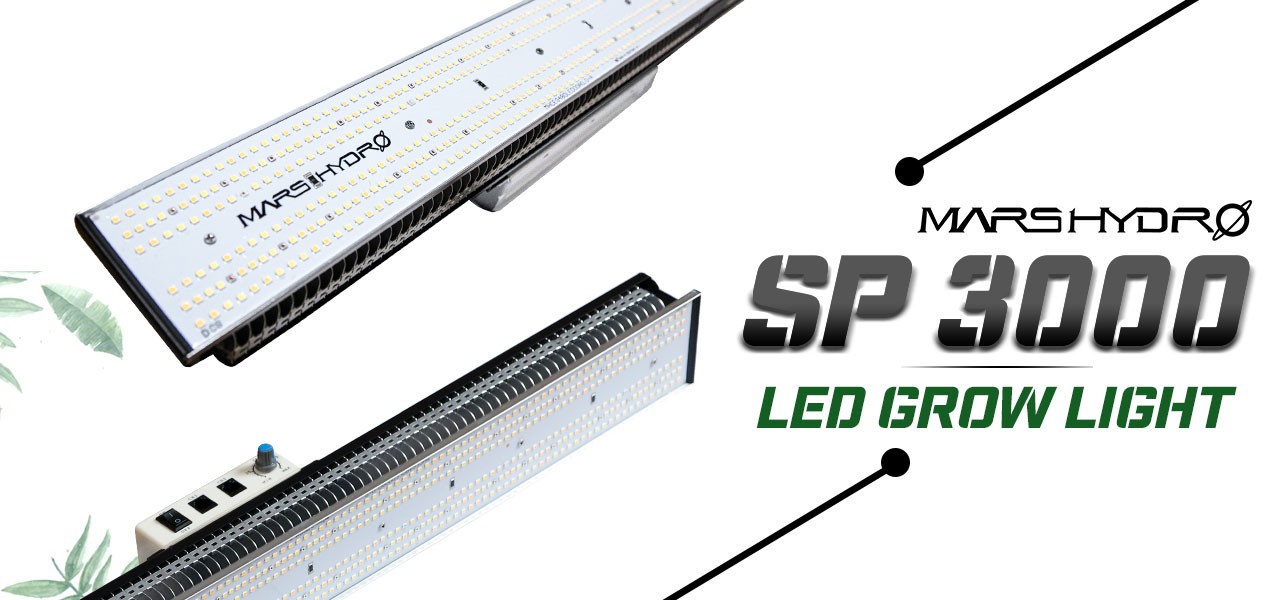 Mars Hydro SP3000 - Game Changer of LED Grow Light Market