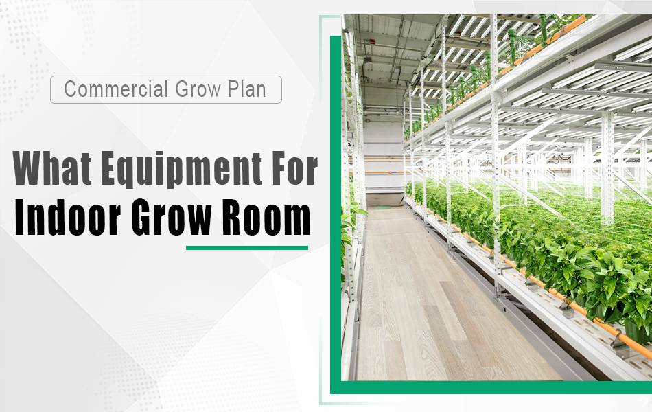 A commercial indoor grow room on the right, text " what equipment for indoor grow room" and "commercial grow plan" on the left