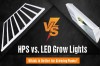 HPS vs. LED Grow Lights — Which is Better for Growing Plants?
