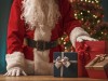 Giveaway! | The Best Christmas Gifts For Indoor Growers 2022