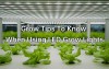 Grow Tips To Know When Using Led Grow Lights