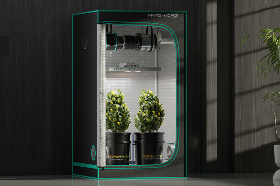 A complete hydroponic setup