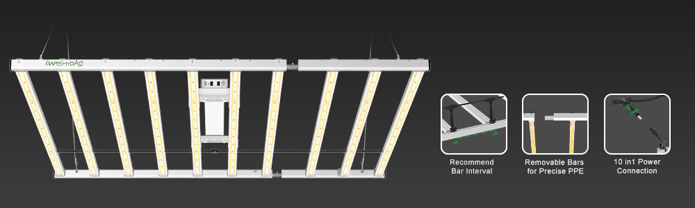 scalable flexibility of 1000w led grow lights