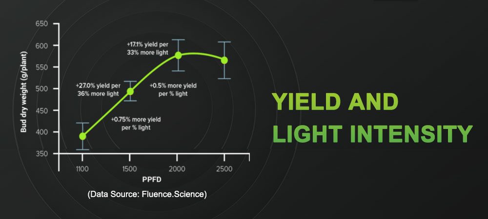 The relationship between PPFD and yield