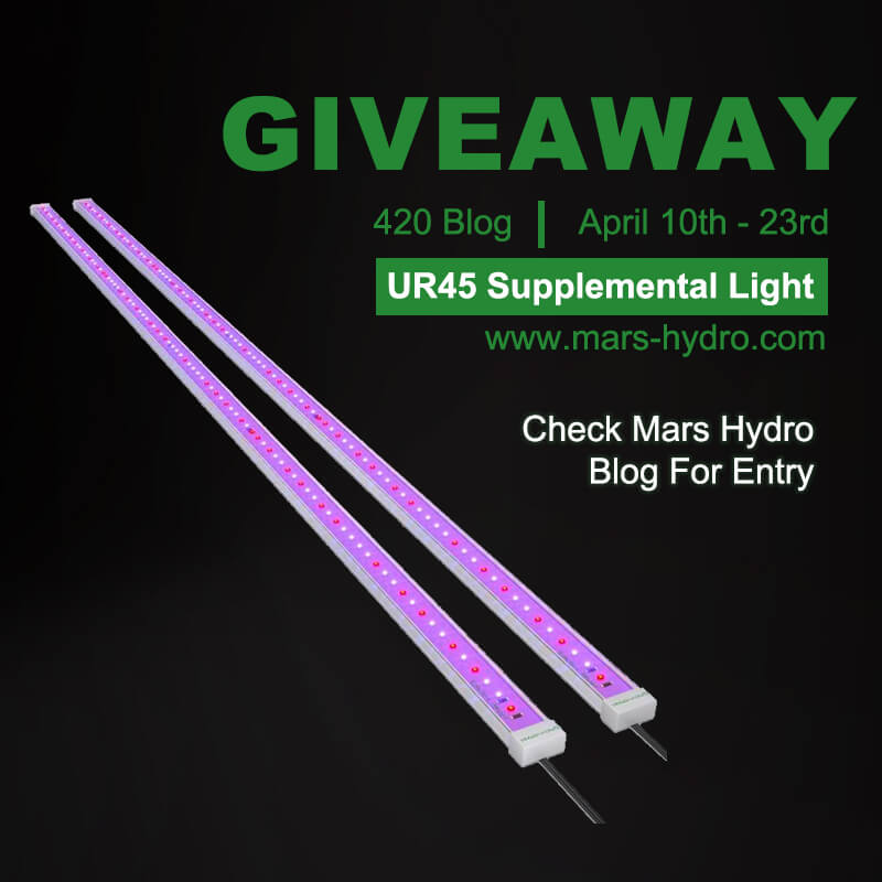 mars hydro 2023 420 blog giveaway 2