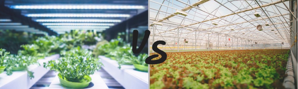 hydroponics vs soil