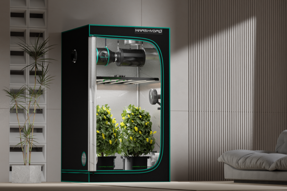 IFresh smart fan in a grow tent