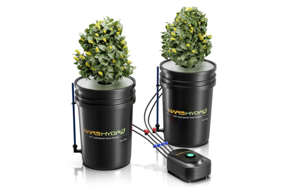 Mars Hydro DWC hydroponic system kit