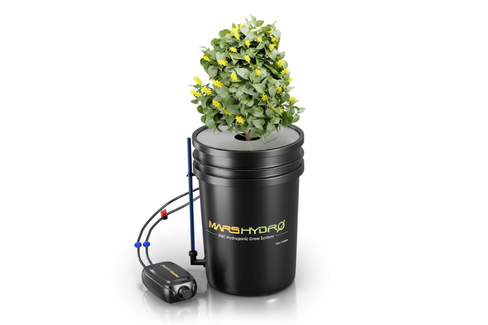 Mars Hydro DWC hydroponic system kit