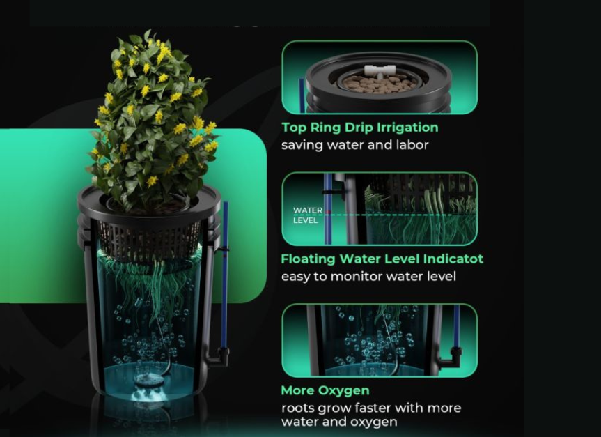 Mars Hydro DWC kit