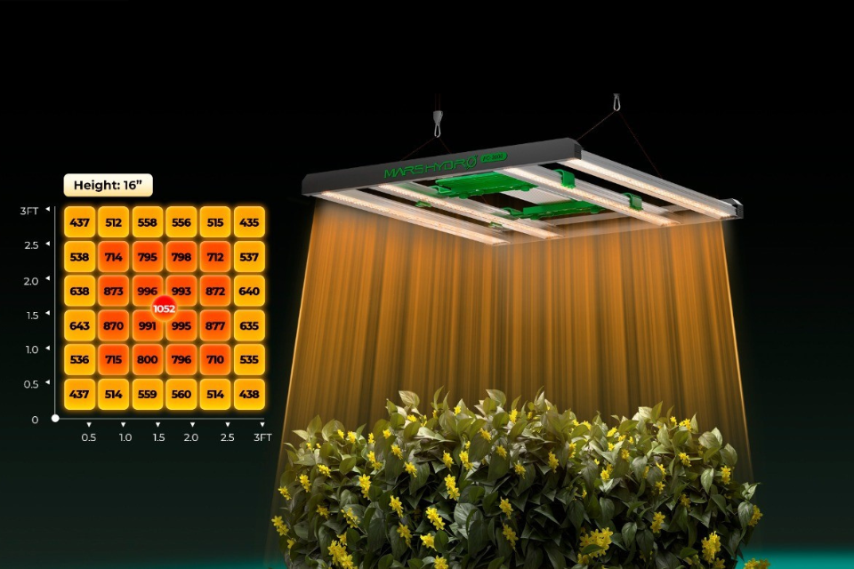Mars Hydro's LED grow light provide even PPFD