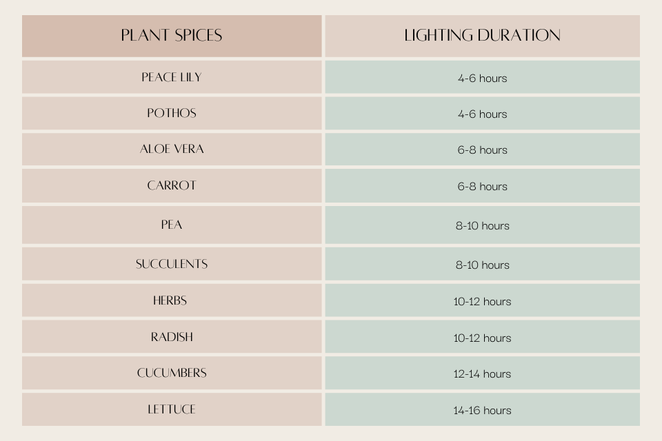 common indoor plant light requirements