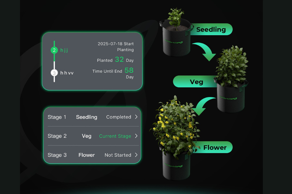 Scene-based automation