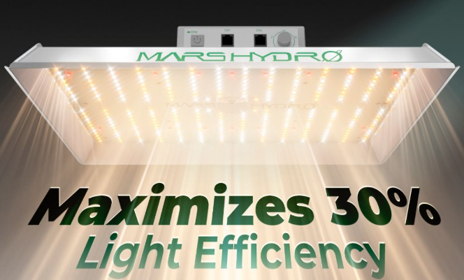 mars hydro ts1000